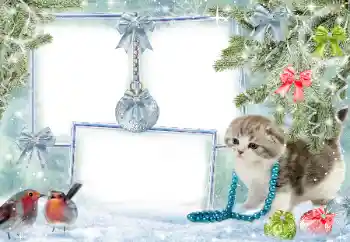 Efekt zdjęciowy z kategorii Zima № 38960