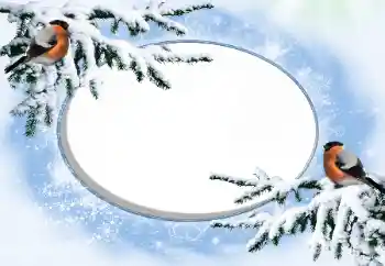 Efekt zdjęciowy z kategorii Zima № 42676