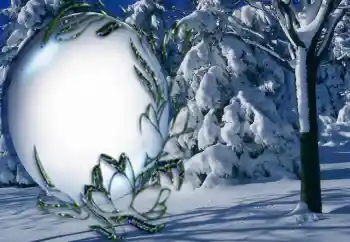 Efekt zdjęciowy z kategorii Zima № 5464