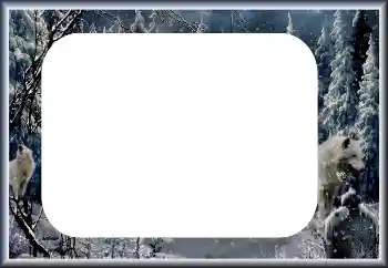 Efekt zdjęciowy z kategorii Zima № 60435