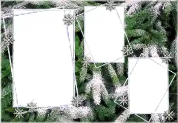 Efekt zdjęciowy z kategorii Zima № 64393