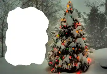 Efekt zdjęciowy z kategorii Zima № 65514