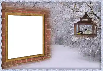 Efekt zdjęciowy z kategorii Zima № 65557