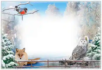 Efekt zdjęciowy z kategorii Zima № 67043