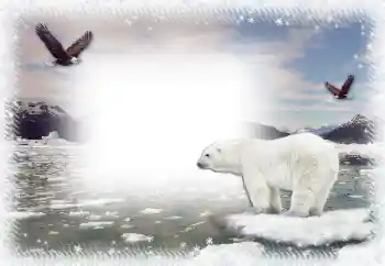 Efekt zdjęciowy z kategorii Zima № 67044