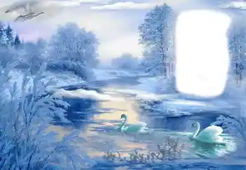 Efekt zdjęciowy z kategorii Zima № 85489