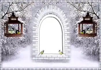 Efekt zdjęciowy z kategorii Zima № 87926