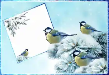 Efekt zdjęciowy z kategorii Zima № 87962