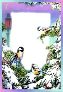 Efekt zdjęciowy z kategorii Zima № 89297