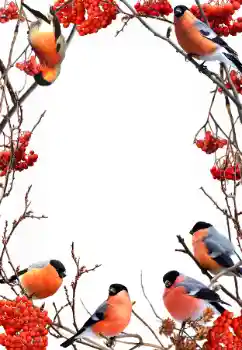 Efekt zdjęciowy z kategorii Zima № 90578