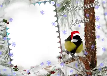 Efekt zdjęciowy z kategorii Zima № 974