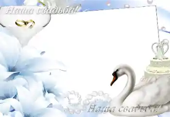 Efekt zdjęciowy z kategorii Ramki ślubne № 166419. Napis na ramce: Nasz ślub