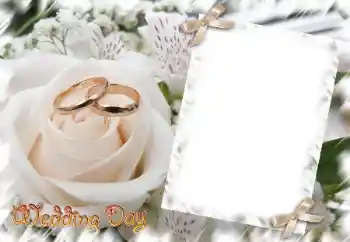 Efekt zdjęciowy z kategorii Ramki ślubne № 31729. Napis na ramce: Wedding Day Efekt zdjęciowy z kategorii Ramki ślubne № 31729. Napis na ramce: Wedding Day