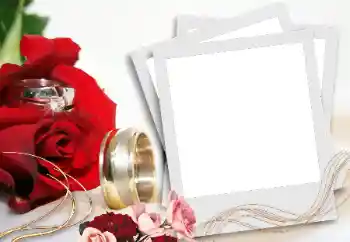 Efekt zdjęciowy z kategorii Ramki ślubne № 31736 Efekt zdjęciowy z kategorii Ramki ślubne № 31736