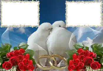 Efekt zdjęciowy z kategorii Ramki ślubne № 3951