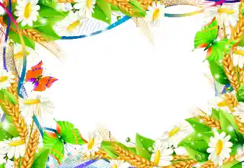 Efekt zdjęciowy z kategorii Ramki dla kobiet № 101135