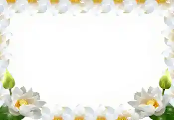 Efekt zdjęciowy z kategorii Ramki dla kobiet № 102569