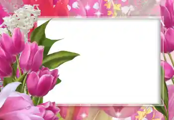 Efekt zdjęciowy z kategorii Ramki dla kobiet № 102643 Efekt zdjęciowy z kategorii Ramki dla kobiet № 102643