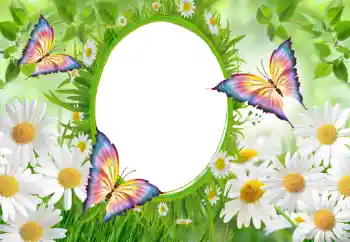 Efekt zdjęciowy z kategorii Ramki dla kobiet № 102747 Efekt zdjęciowy z kategorii Ramki dla kobiet № 102747