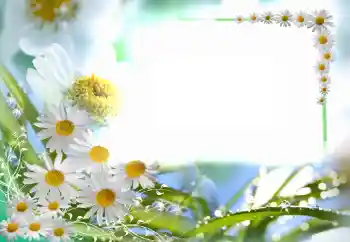 Efekt zdjęciowy z kategorii Ramki dla kobiet № 102749 Efekt zdjęciowy z kategorii Ramki dla kobiet № 102749