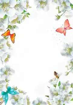 Efekt zdjęciowy z kategorii Ramki dla kobiet № 103777 Efekt zdjęciowy z kategorii Ramki dla kobiet № 103777