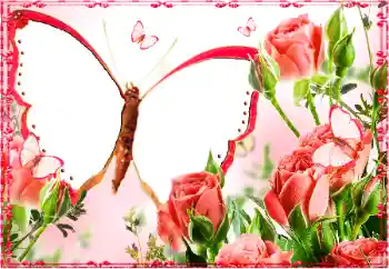Efekt zdjęciowy z kategorii Ramki dla kobiet № 103883 Efekt zdjęciowy z kategorii Ramki dla kobiet № 103883