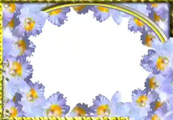 Efekt zdjęciowy z kategorii Ramki dla kobiet № 103943 Efekt zdjęciowy z kategorii Ramki dla kobiet № 103943