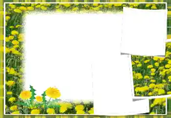 Efekt zdjęciowy z kategorii Ramki dla kobiet № 103949 Efekt zdjęciowy z kategorii Ramki dla kobiet № 103949