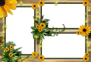 Efekt zdjęciowy z kategorii Ramki dla kobiet № 104030