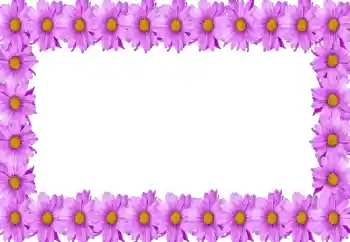 Efekt zdjęciowy z kategorii Ramki dla kobiet № 105414