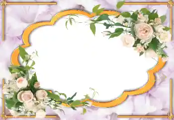 Efekt zdjęciowy z kategorii Ramki dla kobiet № 105472