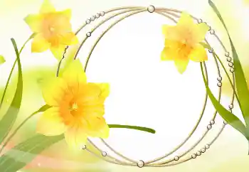 Efekt zdjęciowy z kategorii Ramki dla kobiet № 105478