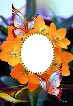 Efekt zdjęciowy z kategorii Ramki dla kobiet № 105575 Efekt zdjęciowy z kategorii Ramki dla kobiet № 105575