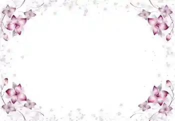 Efekt zdjęciowy z kategorii Ramki dla kobiet № 105650 Efekt zdjęciowy z kategorii Ramki dla kobiet № 105650