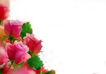 Efekt zdjęciowy z kategorii Ramki dla kobiet № 112139