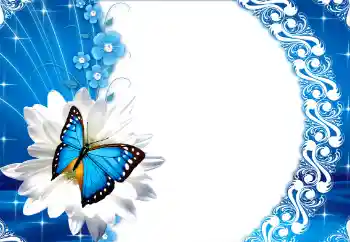 Efekt zdjęciowy z kategorii Ramki dla kobiet № 112249