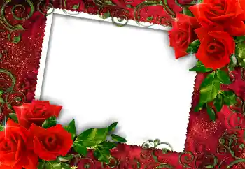 Efekt zdjęciowy z kategorii Ramki dla kobiet № 112252