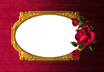 Efekt zdjęciowy z kategorii Ramki dla kobiet № 112254