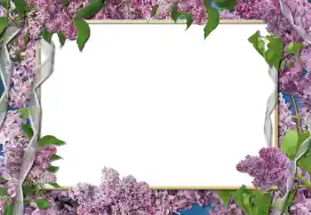 Efekt zdjęciowy z kategorii Ramki dla kobiet № 112261