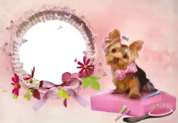 Efekt zdjęciowy z kategorii Ramki dla kobiet № 112337 Efekt zdjęciowy z kategorii Ramki dla kobiet № 112337