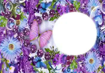 Efekt zdjęciowy z kategorii Ramki dla kobiet № 112431 Efekt zdjęciowy z kategorii Ramki dla kobiet № 112431