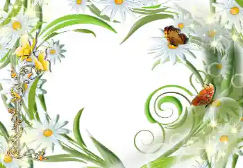 Efekt zdjęciowy z kategorii Ramki dla kobiet № 112507