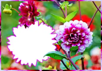 Efekt zdjęciowy z kategorii Ramki dla kobiet № 112519