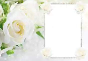 Efekt zdjęciowy z kategorii Ramki dla kobiet № 112529