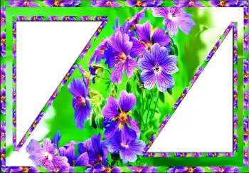 Efekt zdjęciowy z kategorii Ramki dla kobiet № 112773