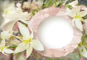 Efekt zdjęciowy z kategorii Ramki dla kobiet № 114219