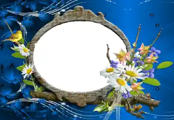 Efekt zdjęciowy z kategorii Ramki dla kobiet № 114227