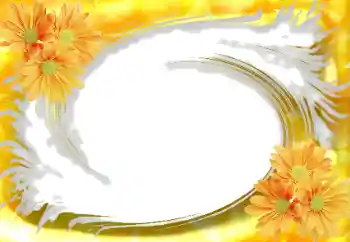 Efekt zdjęciowy z kategorii Ramki dla kobiet № 114234