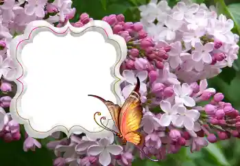 Efekt zdjęciowy z kategorii Ramki dla kobiet № 114264