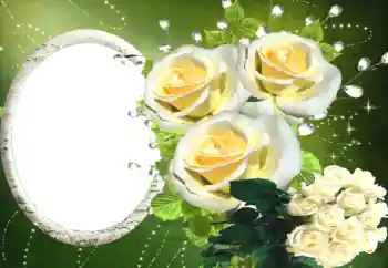 Efekt zdjęciowy z kategorii Ramki dla kobiet № 114330